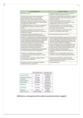 diferencia y semejanza entre celula eucariota animal y vegetal 
 
