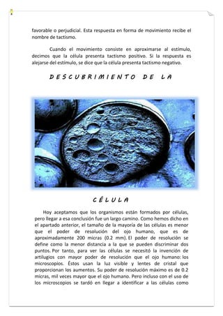 favorable o perjudicial. Esta respuesta en forma de movimiento recibe el 
nombre de tactismo. 
Cuando el movimiento consiste en aproximarse al estímulo, 
decimos que la célula presenta tactismo positivo. Si la respuesta es 
alejarse del estímulo, se dice que la célula presenta tactismo negativo. 
D E S C U B R I M I E N T O D E L A 
C É L U L A 
Hoy aceptamos que los organismos están formados por células, 
pero llegar a esa conclusión fue un largo camino. Como hemos dicho en 
el apartado anterior, el tamaño de la mayoría de las células es menor 
que el poder de resolución del ojo humano, que es de 
aproximadamente 200 micras (0.2 mm). El poder de resolución se 
define como la menor distancia a la que se pueden discriminar dos 
puntos. Por tanto, para ver las células se necesitó la invención de 
artilugios con mayor poder de resolución que el ojo humano: los 
microscopios. Éstos usan la luz visible y lentes de cristal que 
proporcionan los aumentos. Su poder de resolución máximo es de 0.2 
micras, mil veces mayor que el ojo humano. Pero incluso con el uso de 
los microscopios se tardó en llegar a identificar a las células como 
 