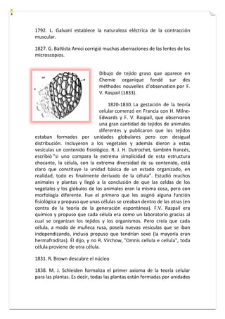 1792. L. Galvani establece la naturaleza eléctrica de la contracción 
muscular. 
1827. G. Battista Amici corrigió muchas aberraciones de las lentes de los 
microscopios. 
Dibujo de tejido graso que aparece en 
Chemie organique fondé sur des 
méthodes nouvelles d'observation por F. 
V. Raspail (1833). 
1820-1830. La gestación de la teoría 
celular comenzó en Francia con H. Milne- 
Edwards y F. V. Raspail, que observaron 
una gran cantidad de tejidos de animales 
diferentes y publicaron que los tejidos 
estaban formados por unidades globulares pero con desigual 
distribución. Incluyeron a los vegetales y además dieron a estas 
vesículas un contenido fisiológico. R. J. H. Dutrochet, también francés, 
escribió "si uno compara la extrema simplicidad de esta estructura 
chocante, la célula, con la extrema diversidad de su contenido, está 
claro que constituye la unidad básica de un estado organizado, en 
realidad, todo es finalmente derivado de la célula”. Estudió muchos 
animales y plantas y llegó a la conclusión de que las celdas de los 
vegetales y los glóbulos de los animales eran la misma cosa, pero con 
morfología diferente. Fue el primero que les asignó alguna función 
fisiológica y propuso que unas células se creaban dentro de las otras (en 
contra de la teoría de la generación espontánea). F.V. Raspail era 
químico y propuso que cada célula era como un laboratorio gracias al 
cual se organizan los tejidos y los organismos. Pero creía que cada 
célula, a modo de muñeca rusa, poseía nuevas vesículas que se iban 
independizando, incluso propuso que tendrían sexo (la mayoría eran 
hermafroditas). Él dijo, y no R. Virchow, "Omnis cellula e cellula", toda 
célula proviene de otra célula. 
1831. R. Brown descubre el núcleo 
1838. M. J. Schleiden formaliza el primer axioma de la teoría celular 
para las plantas. Es decir, todas las plantas están formadas por unidades 
 