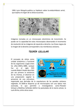 1981: Lynn Margulis publica su hipótesis sobre la endosimbiosis serial, 
que explica el origen de la célula eucariota. 
Imágenes tomadas en un microscopio electrónico de transmisión. Se 
puede ver la capacidad de estos microscopios observando el incremento 
de resolución de las imágenes de izquierda a derecha. Las líneas negras de 
la imagen de la derecha corresponden a las membranas celulares. 
TEORÍA CELULAR 
El concepto de célula como 
unidad anatómica y funcional 
de los organismos surgió entre 
los años 1830 y 1880, aunque 
fue en el siglo XVII 
cuando Robert Hooke describió 
por vez primera la existencia 
de las mismas, al observar en 
una preparación vegetal la 
presencia de una estructura 
organizada que derivaba de la arquitectura de las paredes celulares 
vegetales. En 1830 se disponía ya de microscopios con una óptica más 
avanzada, lo que permitió a investigadores como Theodor 
Schwan y Matthias Schleiden definir los postulados de la teoría celular, la 
cual afirma, entre otras cosas: 
 