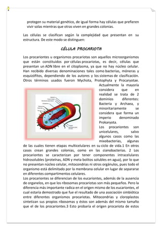 protegen su material genético, de igual forma hay células que prefieren 
vivir solas mientras que otras viven en grandes colonias. 
Las células se clasifican según la complejidad que presentan en su 
estructura. De este modo se distinguen: 
CÉLULA PROCARIOTA 
Los procariontes u organismos procariotas son aquellos microorganismos 
que están constituidos por células procariotas, es decir, células que 
presentan un ADN libre en el citoplasma, ya que no hay núcleo celular. 
Han recibido diversas denominaciones tales como bacterias, móneras y 
esquizófitos, dependiendo de los autores y los sistemas de clasificación. 
Otros términos usados fueron Mychota, Protophyta y Procaryotae. 
Actualmente la mayoría 
considera que en 
realidad se trata de 2 
dominios diferentes: 
Bacteria y Archaea, y 
minoritariamente se 
considera que forma un 
imperio denominado 
Prokaryota. 
Los procariontes son 
unicelulares, salvo 
algunos casos como las 
mixobacterias, algunas 
de las cuales tienen etapas multicelulares en su ciclo de vida.1 En otros 
casos crean grandes colonias, como en las cianobacterias. 2 Los 
procariontes se caracterizan por tener componentes intracelulares 
hidrosolubles (proteínas, ADN y meta bolitos solubles en agua), por lo que 
no presentan núcleo celular, mitocondrias ni otros orgánulos, pues todo el 
organismo está delimitado por la membrana celular en lugar de separarse 
en diferentes compartimentos celulares. 
Los procariontes se diferencian de los eucariontes, además de la ausencia 
de organelos, en que los ribosomas procariotas son más pequeños. Pero la 
diferencia más importante radica en el origen mismo de los eucariontes, el 
cual estaría demostrado que fue el resultado de una asociación simbiótica 
entre diferentes organismos procariotas. Mitocondrias y cloroplastos 
sintetizan sus propios ribosomas y éstos son además del mismo tamaño 
que el de los procariontes.3 Esto probaría el origen procariota de estos 
 