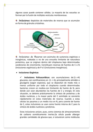 algunos casos puede contener sólidos. La mayoría de las vacuolas se 
forman por la fusión de múltiples vesículas membranosas. 
Inclusiones: depósitos de materiales de reserva que se acumulan 
en forma de gránulos cristalinos. 
Inclusiones de Reserva: son acúmulos de sustancias orgánicas o 
inorgánicas, rodeadas o no de una envuelta limitante de naturaleza 
proteínica, que se originan dentro del citoplasma bajo determinadas 
condiciones de crecimiento. Constituyen reservas de fuentes de C o N 
(inclusiones orgánicas) y de P o S (inclusiones inorgánicas). 
 Inclusiones Orgánicas 
 Inclusiones Polisacarídicas: son acumulaciones de (1-->4) 
glucanos, con ramificaciones en (1--> 6), principalmente almidón o 
glucógeno (según especies), que se depositan de modo más o 
menos uniforme por todo el citoplasma cuando determinadas 
bacterias crecen en medios con limitación de fuente de N, pero 
donde aún sean abundantes las fuentes de C y energía. En esta 
situación, se detiene prácticamente la síntesis de proteínas y de 
ácidos nucleicos, y la mayor parte del C asimilado se convierte 
rápidamente en estos materiales de reserva. Cuando a estas 
células las pasamos a un medio rico en N, pero carente de fuente 
de C, estas inclusiones se usan como fuente interna de C para la 
síntesis de ácidos nucleicos y proteínas. 
Estas inclusiones actúan, pues, como sistemas de almacenamiento 
de carbono osmóticamente inertes (la célula puede albergar 
grandes cantidades de glucosa que, si estuvieran como moléculas 
 