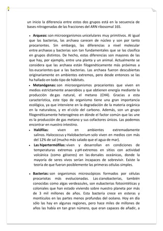 un inicio la diferencia entre estos dos grupos está en la secuencia de 
bases nitrogenadas de las fracciones del ARN ribosomal 16S. 
 Arqueas: son microorganismos unicelulares muy primitivos. Al igual 
que las bacterias, las archaea carecen de núcleo y son por tanto 
procariontes. Sin embargo, las diferencias a nivel molecular 
entre archaeas y bacterias son tan fundamentales que se las clasifica 
en grupos distintos. De hecho, estas diferencias son mayores de las 
que hay, por ejemplo, entre una planta y un animal. Actualmente se 
considera que las archaea están filogenéticamente más próximas a 
los eucariontes que a las bacterias. Las archaea fueron descubiertas 
originariamente en ambientes extremos, pero desde entonces se las 
ha hallado en todo tipo de hábitats. 
 Metanógenas: son microorganismos procariontes que viven en 
medios estrictamente anaerobios y que obtienen energía mediante la 
producción de gas natural, el metano (CH4). Gracias a esta 
característica, este tipo de organismo tiene una gran importancia 
ecológica, ya que interviene en la degradación de la materia orgánica 
en la naturaleza, y en el ciclo del carbono. Además, son un grupo 
filogenéticamente heterogéneo en dónde el factor común que las une 
es la producción de gas metano y sus cofactores únicos. Las podemos 
encontrar en nuestro intestino. 
 Halófilas: viven en ambientes extremadamente 
salinos. Halococcus y Halobacterium solo viven en medios con más 
del 12% de sal (mucho más salado que el agua de mar). 
 Las hipertermófilas: viven y desarrollan en condiciones de 
temperaturas extremas y pH extremos en sitios con actividad 
volcánica (como géiseres) en las dorsales oceánicas, donde la 
mayoría de seres vivos serían incapaces de sobrevivir. Existe la 
teoría de que fueran posiblemente las primeras células simples. 
 Bacterias: son organismos microscópicos formados por células 
procariotas más evolucionadas. Las cianobacterias, también 
conocidas como algas verdeazules, son eubacterias fotosintéticas y 
coloniales que han estado viviendo sobre nuestro planeta por más 
de 3 mil millones de años. Esta bacteria crece en esteras y 
montículos en las partes menos profundas del océano. Hoy en día 
sólo las hay en algunas regiones, pero hace miles de millones de 
años las había en tan gran número, que eran capaces de añadir, a 
 