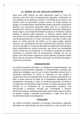 EL ORIGEN DE LAS CÉLULAS EUCARIOTAS 
Hace unos 3700 millones de años aparecieron sobre la Tierra los 
primeros seres vivos. Eran microorganismos pequeños, unicelulares, no 
muy distintos de las bacterias actuales. A las Célula de ese tenor se las 
clasifica entre los procariotas, porque carecen de núcleo (karyon en 
griego), un compartimento especializado donde se guarda la maquinaria 
genética. Los procariotas alcanzaron pleno éxito en su desarrollo y 
multiplicación. Gracias a su notable capacidad de evolución y adaptación, 
dieron origen a una amplia diversidad de especies e invadieron cuantos 
hábitats el planeta podía ofrecerles. La biosfera estaría repleta de 
procariotas si no se hubiera dado el avance extraordinario del que surgió 
una célula perteneciente a un tipo muy distinto: eucariota, es decir, que 
posee un núcleo genuino. (El prefijo eu, de origen griego, significa 
"bueno"). Las consecuencias de este acontecimiento marcaron el inicio 
de una nueva época. En nuestros días todos los organismos pluricelulares 
están constituidos por células eucariotas, que tienen una complejidad 
mucho mayor que las procariotas. Si no hubieran aparecido las células 
eucariotas, no existiría ahora la extraordinaria variedad, tan rica en 
gamas, de la vida animal y vegetal en nuestro planeta; ni tampoco habría 
hecho acto de presencia el hombre para gozar de tamaña diversidad y 
arrancarle sus secretos. 
ORGANIZACIÓN 
Las células eucariotas presentan un citoplasma compartimentado, con 
orgánulos (membranosos) separados o interconectados, limitados por 
membranas biológicas que son de la misma naturaleza esencial que la 
membrana plasmática. El núcleo es solamente el más notable y 
característico de los compartimentos en que se divide el protoplasma, es 
decir, la parte activa de la célula. En el protoplasma distinguimos tres 
componentes principales, a saber, la membrana plasmática, el núcleo y 
el citoplasma, constituido por todo lo demás. Las células eucariotas están 
dotadas en su citoplasma de un citoesqueleto complejo, muy 
estructurado y dinámico, formado por microtúbulos y diversos 
filamentos proteicos. Además puede haber pared celular, que es lo típico 
de plantas, hongos y protistas pluricelulares, o algún otro tipo de 
recubrimiento externo al protoplasma. 
FISIOLOGÍA 
Las células eucariotas contienen en principio mitocondrias, orgánulos 
derivados por endosimbiosis de ciertas bacterias, lo que les dota de la 
 