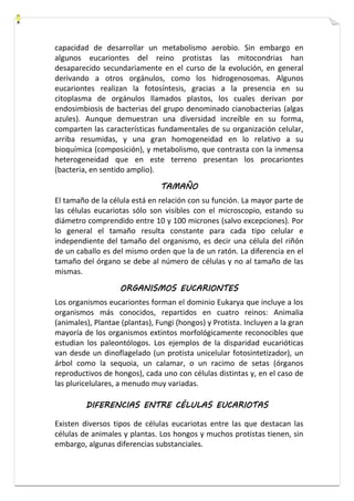 capacidad de desarrollar un metabolismo aerobio. Sin embargo en 
algunos eucariontes del reino protistas las mitocondrias han 
desaparecido secundariamente en el curso de la evolución, en general 
derivando a otros orgánulos, como los hidrogenosomas. Algunos 
eucariontes realizan la fotosíntesis, gracias a la presencia en su 
citoplasma de orgánulos llamados plastos, los cuales derivan por 
endosimbiosis de bacterias del grupo denominado cianobacterias (algas 
azules). Aunque demuestran una diversidad increíble en su forma, 
comparten las características fundamentales de su organización celular, 
arriba resumidas, y una gran homogeneidad en lo relativo a su 
bioquímica (composición), y metabolismo, que contrasta con la inmensa 
heterogeneidad que en este terreno presentan los procariontes 
(bacteria, en sentido amplio). 
TAMAÑO 
El tamaño de la célula está en relación con su función. La mayor parte de 
las células eucariotas sólo son visibles con el microscopio, estando su 
diámetro comprendido entre 10 y 100 micrones (salvo excepciones). Por 
lo general el tamaño resulta constante para cada tipo celular e 
independiente del tamaño del organismo, es decir una célula del riñón 
de un caballo es del mismo orden que la de un ratón. La diferencia en el 
tamaño del órgano se debe al número de células y no al tamaño de las 
mismas. 
ORGANISMOS EUCARIONTES 
Los organismos eucariontes forman el dominio Eukarya que incluye a los 
organismos más conocidos, repartidos en cuatro reinos: Animalia 
(animales), Plantae (plantas), Fungi (hongos) y Protista. Incluyen a la gran 
mayoría de los organismos extintos morfológicamente reconocibles que 
estudian los paleontólogos. Los ejemplos de la disparidad eucarióticas 
van desde un dinoflagelado (un protista unicelular fotosintetizador), un 
árbol como la sequoia, un calamar, o un racimo de setas (órganos 
reproductivos de hongos), cada uno con células distintas y, en el caso de 
las pluricelulares, a menudo muy variadas. 
DIFERENCIAS ENTRE CÉLULAS EUCARIOTAS 
Existen diversos tipos de células eucariotas entre las que destacan las 
células de animales y plantas. Los hongos y muchos protistas tienen, sin 
embargo, algunas diferencias substanciales. 
 