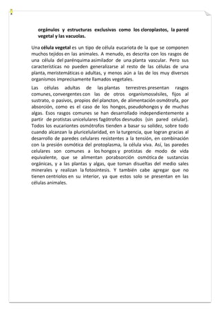 orgánulos y estructuras exclusivas como los cloroplastos, la pared 
vegetal y las vacuolas. 
Una célula vegetal es un tipo de célula eucariota de la que se componen 
muchos tejidos en las animales. A menudo, es descrita con los rasgos de 
una célula del parénquima asimilador de una planta vascular. Pero sus 
características no pueden generalizarse al resto de las células de una 
planta, meristemáticas o adultas, y menos aún a las de los muy diversos 
organismos imprecisamente llamados vegetales. 
Las células adultas de las plantas terrestres presentan rasgos 
comunes, convergentes con las de otros organismossésiles, fijos al 
sustrato, o pasivos, propios del plancton, de alimentación osmótrofa, por 
absorción, como es el caso de los hongos, pseudohongos y de muchas 
algas. Esos rasgos comunes se han desarrollado independientemente a 
partir de protistas unicelulares fagótrofos desnudos (sin pared celular). 
Todos los eucariontes osmótrofos tienden a basar su solidez, sobre todo 
cuando alcanzan la pluricelularidad, en la turgencia, que logran gracias al 
desarrollo de paredes celulares resistentes a la tensión, en combinación 
con la presión osmótica del protoplasma, la célula viva. Así, las paredes 
celulares son comunes a los hongos y protistas de modo de vida 
equivalente, que se alimentan porabsorción osmótica de sustancias 
orgánicas, y a las plantas y algas, que toman disueltas del medio sales 
minerales y realizan la fotosíntesis. Y también cabe agregar que no 
tienen centriolos en su interior, ya que estos solo se presentan en las 
células animales. 
 