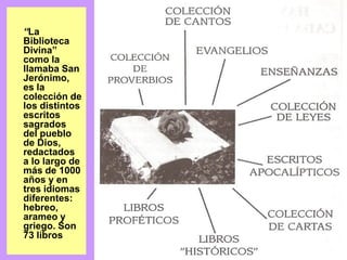 “La
Biblioteca
Divina”
como la
llamaba San
Jerónimo,
es la
colección de
los distintos
escritos
sagrados
del pueblo
de Dios,
redactados
a lo largo de
más de 1000
años y en
tres idiomas
diferentes:
hebreo,
arameo y
griego. Son
73 libros
 