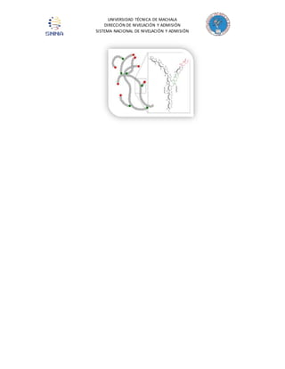 UNIVERSIDAD TÉCNICA DE MACHALA 
DIRECCIÓN DE NIVELACIÓN Y ADMISIÓN 
SISTEMA NACIONAL DE NIVELACIÓN Y ADMISIÓN 
 