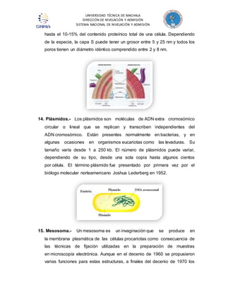 UNIVERSIDAD TÉCNICA DE MACHALA 
DIRECCIÓN DE NIVELACIÓN Y ADMISIÓN 
SISTEMA NACIONAL DE NIVELACIÓN Y ADMISIÓN 
hasta el 10-15% del contenido proteínico total de una célula. Dependiendo 
de la especie, la capa S puede tener un grosor entre 5 y 25 nm y todos los 
poros tienen un diámetro idéntico comprendido entre 2 y 8 nm. 
14. Plásmidos.- Los plásmidos son moléculas de ADN extra cromosómico 
circular o lineal que se replican y transcriben independientes del 
ADN cromosómico. Están presentes normalmente en bacterias, y en 
algunas ocasiones en organismos eucariotas como las levaduras. Su 
tamaño varía desde 1 a 250 kb. El número de plásmidos puede variar, 
dependiendo de su tipo, desde una sola copia hasta algunos cientos 
por célula. El término plásmido fue presentado por primera vez por el 
biólogo molecular norteamericano Joshua Lederberg en 1952. 
15. Mesosoma.- Un mesosoma es un invaginación que se produce en 
la membrana plasmática de las células procariotas como consecuencia de 
las técnicas de fijación utilizadas en la preparación de muestras 
en microscopía electrónica. Aunque en el decenio de 1960 se propusieron 
varias funciones para estas estructuras, a finales del decenio de 1970 los 
 