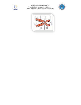 UNIVERSIDAD TÉCNICA DE MACHALA 
DIRECCIÓN DE NIVELACIÓN Y ADMISIÓN 
SISTEMA NACIONAL DE NIVELACIÓN Y ADMISIÓN 
 