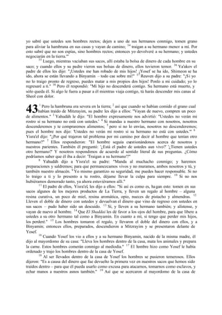 43
yo sabré que ustedes son hombres rectos; dejen a uno de sus hermanos conmigo, tomen grano
para aliviar la hambruna en sus casas y vayan de camino; 34
traigan a su hermano menor a mí. Por
esto sabré que no son espías, sino hombres rectos; entonces yo devolveré a su hermano; y ustedes
negociarán en la tierra.'"
35
Luego, mientras vaciaban sus sacos, allí estaba la bolsa de dinero de cada hombre en su
saco; y cuando ellos y su padre vieron sus bolsas de dinero, ellos tuvieron temor. 36
Ya'akov el
padre de ellos les dijo: "‫ד‬Ustedes me han robado de mis hijos! ‫ד‬Yosef se ha ido, Shimeon se ha
ido, ahora se están llevando a Binyamin ‫ס‬ todo cae sobre mí!" 37
Reuven dijo a su padre: "‫ד‬Si yo
no lo traigo pronto de regreso, puedes matar a mis propios dos hijos! Ponlo a mi cuidado; yo lo
regresaré a ti." 38
Pero él respondió: "Mi hijo no descenderá contigo. Su hermano está muerto, y
sólo queda él. Si algo le fuera a pasar a él mientras viaja contigo, tú harás descender mis canas al
Sheol con dolor.
1
Pero la hambruna era severa en la tierra; 2
así que cuando se habían comido el grano cual
habían traído de Mitzrayim, su padre les dijo a ellos: "Vayan de nuevo, compren un poco
de alimentos." 3
Yahudáh le dijo: "El hombre expresamente nos advirtió: "Ustedes no verán mi
rostro si su hermano no está con ustedes.' 4
Si mandas a nuestro hermano con nosotros, nosotros
descenderemos y te compraremos alimentos; 5
pero si no lo envías, nosotros no descenderemos;
pues el hombre nos dijo: 'Ustedes no verán mi rostro si su hermano no está con ustedes.'" 6
Yisra'el dijo: "‫ג‬Por qué trajeron tal problema por mi camino por decir al hombre que tenían otro
hermano?" 7
Ellos respondieron: "El hombre seguía cuestionándonos acerca de nosotros y
nuestros parientes. También él preguntó: '‫ג‬Está el padre de ustedes aun vivo?' '‫ג‬Tienen ustedes
otro hermano?' Y nosotros respondimos de acuerdo al sentido literal de sus preguntas. ‫ג‬Cómo
podríamos saber que él iba a decir: 'Traigan a su hermano'?"
8
Yahudáh dijo a Yisra'el su padre: "Manda al muchacho conmigo; y haremos
preparaciones y saldremos; para que permanezcamos vivos y no muramos, ambos nosotros y tú, y
también nuestro almacén. 9
Yo mismo garantizo su seguridad, me puedes hacer responsable. Si no
lo traigo a ti y lo presento a tu rostro, déjame llevar la culpa para siempre. 10
Si no nos
hubiéramos demorado tanto, ya ahora estuviéramos allí."
11
El padre de ellos, Yisra'el, les dijo a ellos: "Si así es como es, hagan esto: tomen en sus
sacos algunos de los mejores productos de La Tierra, y lleven un regalo al hombre ‫ס‬ alguna
resina curativa, un poco de miel, resina aromática, opio, nueces de pistacho y almendras. 12
Lleven el doble de dinero con ustedes y devuelvan el dinero que vino de regreso con ustedes en
sus sacos ‫ס‬ pudo haber sido un descuido. 13
Sí, y lleven a su hermano también; y alístense, y
vayan de nuevo al hombre. 14
Que El Shaddai les dé favor a los ojos del hombre, para que libere a
ustedes a su otro hermano tal como a Binyamin. En cuanto a mí, si tengo que perder mis hijos,
los perderé." 15
Los hombres tomaron el regalo, y llevaron el doble del dinero con ellos, y a
Binyamin; entonces ellos, preparados, descendieron a Mitzrayim y se presentaron delante de
Yosef.
16
Cuando Yosef los vio a ellos y a su hermano Binyamin, nacido de la misma madre, él
dijo al mayordomo de su casa: "Lleva los hombres dentro de la casa, mata los animales y prepara
la carne. Estos hombres comerán conmigo al mediodía." 17
El hombre hizo como Yosef le había
ordenado y trajo los hombres dentro de la casa de Yosef.
18
Al ser llevados dentro de la casa de Yosef los hombres se pusieron temerosos. Ellos
dijeron: "Es a causa del dinero que fue devuelto la primera vez en nuestros sacos que hemos sido
traídos dentro ‫ס‬ para que él pueda usarlo como excusa para atacarnos, tomarnos como esclavos, y
echar manos a nuestros asnos también." 19
Así que se acercaron al mayordomo de la casa de
 