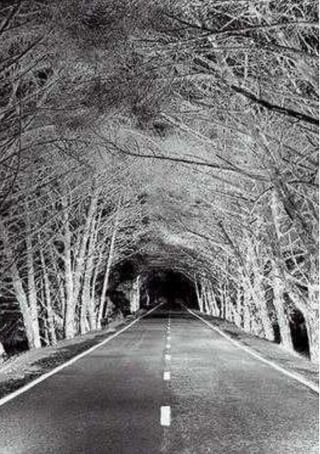 A Bíblia que Jesus lia 65
 