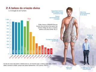 Adão
Sete
Enos
Matusalém
Lameque
Noé
Sem
Eber
Pelegue
Naor
Abrão
Josué
Davi
HOJE
1.000
900
800
700
600
500
400
300
200
100
0
b. A Criação do ser humano
2 A beleza da criação divina
Os dias da nossa vida sobem a setenta anos ou, em havendo vigor, a oitenta; neste caso, o melhor
deles é canseira e enfado, porque tudo passa rapidamente, e nós voamos. Sl 90:10
930
anos912
anos905
anos969
anos777
anos950
anos600
anos464
anos239
anos148
anos175
anos110
anos71
anos
Dilúvio
80
anos
(m
édia)
Adão tinha
aproximadamente
4m de altura
Homem de
1,80 m
de altura
Capacidade mental e
física superior a que
conhecemos hoje
Pesava
aproximadamente
1 tonelada
Formado por Deus do
pó da terra
Adão viveu
930 anos
Homem hoje vive em
média 80 anos
Então, formou o SENHOR Deus ao
homem do pó da terra e lhe soprou nas
narinas o fôlego de vida, e o homem
passou a ser alma vivente. Gn 2:7
Infográﬁco:AlexandreRocha/Ilustração:LíviaFereira
 