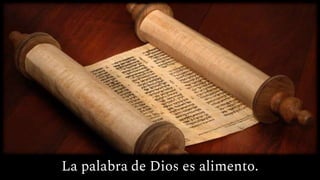 La palabra de Dios es alimento.
 