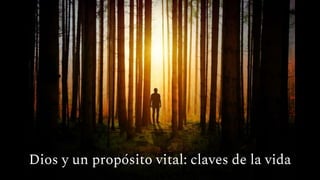 Dios y un propósito vital: claves de la vida
 