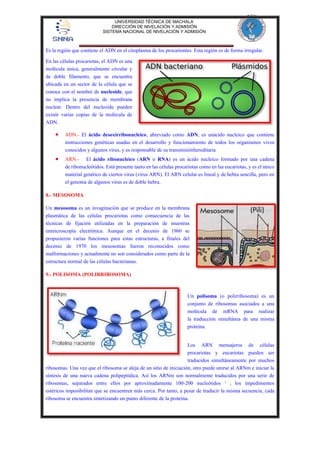 UNIVERSIDAD TÉCNICA DE MACHALA 
DIRECCIÓN DE NIVELACIÓN Y ADMISIÓN 
SISTEMA NACIONAL DE NIVELACIÓN Y ADMISIÓN 
Es la región que contiene el ADN en el citoplasma de los procariontes. Esta región es de forma irregular. 
En las células procariotas, el ADN es una 
molécula única, generalmente circular y 
de doble filamento, que se encuentra 
ubicada en un sector de la célula que se 
conoce con el nombre de nucleoide, que 
no implica la presencia de membrana 
nuclear. Dentro del nucleoide pueden 
existir varias copias de la molécula de 
ADN. 
 ADN.- El ácido desoxirribonucleico, abreviado como ADN, es unácido nucleico que contiene 
instrucciones genéticas usadas en el desarrollo y funcionamiento de todos los organismos vivos 
conocidos y algunos virus, y es responsable de su transmisiónhereditaria 
 ARN.- El ácido ribonucleico (ARN o RNA) es un ácido nucleico formado por una cadena 
de ribonucleótidos. Está presente tanto en las células procariotas como en las eucariotas, y es el único 
material genético de ciertos virus (virus ARN). El ARN celular es lineal y de hebra sencilla, pero en 
el genoma de algunos virus es de doble hebra. 
8.- MESOSOMA 
Un mesosoma es un invaginación que se produce en la membrana 
plasmática de las células procariotas como consecuencia de las 
técnicas de fijación utilizadas en la preparación de muestras 
enmicroscopía electrónica. Aunque en el decenio de 1960 se 
propusieron varias funciones para estas estructuras, a finales del 
decenio de 1970 los mesosomas fueron reconocidos como 
malformaciones y actualmente no son considerados como parte de la 
estructura normal de las células bacterianas. 
9.- POLISOMA (POLIRRIBOSOMA) 
Un polisoma (o polirribosoma) es un 
conjunto de ribosomas asociados a una 
molécula de mRNA para realizar 
la traducción simultánea de una misma 
proteína. 
Los ARN mensajeros de células 
procariotas y eucariotas pueden ser 
traducidos simultáneamente por muchos 
ribosomas. Una vez que el ribosoma se aleja de un sitio de iniciación, otro puede unirse al ARNm e iniciar la 
síntesis de una nueva cadena polipeptídica. Así los ARNm son normalmente traducidos por una serie de 
ribosomas, separados entre ellos por aproximadamente 100-200 nucleótidos 1 ; los impedimentos 
estéricos imposibilitan que se encuentren más cerca. Por tanto, a pesar de traducir la misma secuencia, cada 
ribosoma se encuentra sintetizando un punto diferente de la proteína. 
 