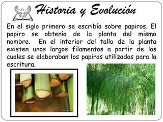 Historia y Evolución
En el siglo primero se escribía sobre papiros. El
papiro se obtenía de la planta del mismo
nombre. En el interior del tallo de la planta
existen unos largos filamentos a partir de los
cuales se elaboraban los papiros utilizados para la
escritura.

 