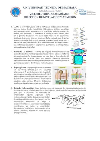 UNIVERSIDAD TÉCNICA DE MACHALA
Calidad,PertinenciayCalidez
VICERRECTORADO ACADÉMICO
DIRECCIÓN DE NIVELACIÓN Y ADMISIÓN
6. ARN: El ácido ribonucleico (ARN o RNA) es un ácido nucleico formado
por una cadena de ribo nucleótidos. Está presente tanto en las células
procariotas como en las eucariotas, y es el único material genético de
ciertos virus(virus ARN). El ARN celular es lineal y de hebra sencilla, pero
en el genoma de algunos virus es de doble hebra. En los organismos
celulares desempeña diversas funciones. Es la molécula que dirige las
etapasintermedias de la síntesisproteica; el ADN no puede actuarsolo, y
se vale del ARN para transferir esta información vital durante la síntesis
de proteínas(producción de las proteínas que necesita la célula para sus
actividades y su desarrollo).
7. Laminillas o Lamelas: Se trata de pliegues membranosos que se
extienden desdela membranaplásticahaciael interior (abiertos:noforma
compartimentos). Su función puede ser muy diversa dependiendo del
organismo que se trate, como por ejemplo: presentar pigmentos
relacionados con la fotosíntesis (bacteriorodopsina o bacterioclorofíla) o
partículas captadores de nitrógeno molecular, etc.).
8. Peptidoglicano: El peptidoglicano o mureína es
un copolímero formado por una secuencia
alternante de N-acetil-glucosamina y el Ácido N-
acetilmurámico unidosmedianteenlaces β-1,4. El
peptidoglucano es muy resistente y protege a las
bacterias de una ruptura osmótica en ambientes
acuáticos y da a los tipos diferentes de bacterias
sus formas. La cadena es recta y no ramificada.
9. Retículo Endoplasmático Liso: Anteriormente a la existencia del microscopio electrónico se
considerabaque el citoplasma estabaformado poruna masa coloidal o hialoplasma, compuesta
por agua y proteínas, en ocasiones se
encontraban algunos orgánulos como
mitocondriascon la idea de que se encontraban
flotando en el hialoplasma. Con la aparición del
microscopio electrónico se llegó al
descubrimientodeun sistemacitoplasmáticode
membranas, las cuales se encontraban
formando un retículo con una zona central de
menor densidad, Porther lo llamó retículo
endoplasmático.
 