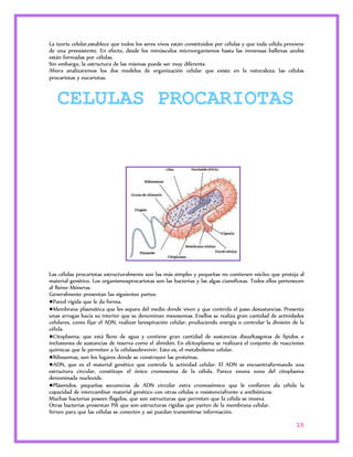 La teoría celular,establece que todos los seres vivos están constituidos por células y que toda célula proviene 
de una preexistente. En efecto, desde los minúsculos microorganismos hasta las inmensas ballenas azules 
están formadas por células. 
Sin embargo, la estructura de las mismas puede ser muy diferente. 
Ahora analizaremos los dos modelos de organización celular que existe en la naturaleza: las células 
procariotas y eucariotas. 
Las células procariotas estructuralmente son las más simples y pequeñas no contienen núcleo que proteja al 
material genético. Los organismosprocariotas son las bacterias y las algas cianofíceas. Todos ellos pertenecen 
al Reino Móneras. 
Generalmente presentan las siguientes partes: 
●Pared rígida que le da forma. 
●Membrana plasmática que les separa del medio donde viven y que controla el paso desustancias. Presenta 
unas arrugas hacia su interior que se denominan mesosomas. Enellos se realiza gran cantidad de actividades 
celulares, como fijar el ADN, realizar larespiración celular, produciendo energía o controlar la división de la 
célula. 
●Citoplasma, que está lleno de agua y contiene gran cantidad de sustancias disueltasgotas de lípidos o 
inclusiones de sustancias de reserva como el almidón. En elcitoplasma se realizará el conjunto de reacciones 
químicas que le permiten a la célulasobrevivir. Esto es, el metabolismo celular. 
●Ribosomas, son los lugares donde se construyen las proteínas. 
●ADN, que es el material genético que controla la actividad celular. El ADN se encuentraformando una 
estructura circular, constituye el único cromosoma de la célula. Parece enuna zona del citoplasma 
denominada nucleoide. 
●Plásmidos, pequeñas secuencias de ADN circular extra cromosómico que le confieren ala célula la 
capacidad de intercambiar material genético con otras células o resistenciafrente a antibióticos. 
Muchas bacterias poseen flagelos, que son estructuras que permiten que la célula se mueva. 
Otras bacterias presentan Pili que son estructuras rígidas que parten de la membrana celular. 
Sirven para que las células se conecten y así puedan transmitirse información. 
15 
CELULAS PROCARIOTAS 
 
