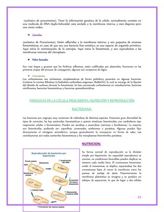 (exclusivo de procariontes). Tiene la información genética de la célula, normalmente consiste en 
una molécula de DNA duplo-helicoidal, está anclado a la membrana interna, y está disperso pero 
con cierto orden. 
22 
 Lámelas 
(exclusivo de Procariontes). Están adheridas a la membrana interna, y son paquetes de enzimas 
fotosintéticas, en caso de que sea una bacteria foto-sintética, es una especie de organelo primitivo. 
Aquí inicia la minimización de la entropía. Aquí inicia la fotosíntesis, y son equivalentes a las 
membranas internas del cloroplasto. 
 Pelos Sexuales 
Son mas largos y gruesos que las fimbiras adhesivas, están codificados por plasmidos, funcionan en las 
primeras etapas del proceso de conjugación, algunos son receptores de fagos. 
 Caroxisoma 
Los carboxisomas son inclusiones citoplasmáticas de forma poliédrica presentes en algunas bacterias. 
Contiene la enzima Ribulosa-1,5-bisfosfato-carboxilasa-oxigenasa (RuBisCO), la cual se encarga de la fijación 
del dióxido de carbono durante la fotosíntesis. Se han encontrado carboxisomas en cianobacterias, bacterias 
nitrificantes, bacterias fotosintéticas y bacterias quimiolitotróficas 
FISIOLOGÍA DE LA CÉLULA PROCARIOTA: NUTRICIÓN Y REPRODUCCIÓN 
BACTERIANA. 
Las bacterias son ungrupo muy numeroso de individuos de distintas especies. Presentan gran diversidad de 
tipos de nutrición, las hay autótrofas: fotosintéticas o quimio sintéticas; heterótrofas: con catabolismo tipo 
respiración celular o fermentativo. Pueden ser aerobias o anaerobias (estrictas o facultativas). La mayoría 
son heterótrofas, pudiendo ser: saprofitas, comensales, simbiontes o parásitas. Algunas pueden fijar 
directamente el nitrógeno atmosférico, aunque generalmente lo incorporan en forma de sales. Las 
cianobacterias son todas autótrofas fotosintéticas y los micoplasmas heterótrofos parásitos. 
NUTRICION: 
Su forma normal de reproducción es la división 
simple por bipartición. Su capacidad reproductiva es 
enorme, en condiciones favorables pueden duplicar su 
número cada media hora. El cromosoma bacteriano, 
unido al mesosomas, se duplica, separándose los dos 
cromosomas hijos al crecer la membrana entre los 
puntos de anclaje de éstos. Posteriormente la 
membrana plasmática se invagina y se produce un 
tabique de separación, lo que da lugar a dos células 
 
