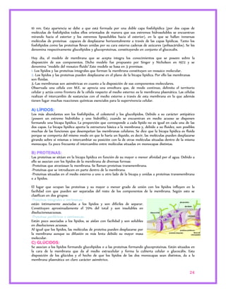 10 nm. Esta apariencia se debe a que está formada por una doble capa fosfolipídica (por dos capas de 
moléculas de fosfolípidos todos ellos orientados de manera que sus extremos hidrosolubles se encuentran 
mirando hacia el exterior y los extremos liposolubles hacia el exterior), en la que se hallan inmersas 
moléculas de proteínas capaces de desplazarse horizontalmente a través de las capas lipídicas. Tanto los 
fosfolípidos como las proteínas llevan unidas por su cara externa cadenas de azúcares (polisacáridos). Se les 
denomina respectivamente glucolípidos y glucoproteinas, constituyendo en conjunto el glucocalix. 
Hoy día, el modelo de membrana que se acepta integra los conocimientos que se poseen sobre la 
disposición de sus componentes. Dicho modelo fue propuesto por Singer y Nicholson en 1972 y se 
denomina "modelo del mosaico fluido".Este modelo se basa en 3 premisas: 
1.-Los lípidos y las proteínas integrales que forman la membrana constituyen un mosaico molecular. 
2.-Los lípidos y las proteínas pueden desplazarse en el plano de la bicapa lipídica. Por ello las membranas 
son fluidas. 
3.-Las membranas son asimétricas en cuanto a la disposición de sus componentes moleculares. 
Observada una célula con M.E. se aprecia una envoltura que, de modo continuo, delimita el territorio 
celular y actúa como frontera de la célula respecto al medio externo: es la membrana plasmática. Las células 
realizan el intercambio de sustancias con el medio externo a través de esta membrana en la que además 
tienen lugar muchas reacciones químicas esenciales para la supervivencia celular. 
A) LÍPIDOS: 
Los más abundantes son los fosfolípidos, el colesterol y los glucolípidos. Debido a su carácter antipático 
(poseen un extremo hidrófobo y uno hidrófilo), cuando se encuentran en medio acuoso se disponen 
formando una bicapa lipídica. La proporción que corresponde a cada lípido no es igual en cada una de las 
dos capas. La bicapa lipídica aporta la estructura básica a la membrana y, debido a su fluidez, son posibles 
muchas de las funciones que desempeñan las membranas celulares. Se dice que la bicapa lipídica es fluida 
porque se comporta del mismo modo en que lo haría un líquido, es decir, las moléculas pueden desplazarse 
girando sobre sí mismas o intercambiar su posición con la de otras moléculas situadas dentro de la misma 
monocapa. Es poco frecuente el intercambio entre moléculas situadas en monocapas distintas. 
B) PROTEINAS: 
Las proteínas se sitúan en la bicapa lipídica en función de su mayor o menor afinidad por el agua. Debido a 
ello se asocian con los lípidos de la membrana de diversas formas: 
-Proteínas que atraviesan la membrana. Se llaman proteínas transmembrana. 
-Proteínas que se introducen en parte dentro de la membrana. 
-Proteínas situadas en el medio externo a uno u otro lado de la bicapa y unidas a proteínas transmembrana 
o a lípidos. 
El lugar que ocupan las proteínas y su mayor o menor grado de unión con los lípidos influyen en la 
facilidad con que pueden ser separadas del resto de los componentes de la membrana. Según esto se 
clasifican en dos grupos: 
-Proteínas integrales o intrínsecas: 
están íntimamente asociadas a los lípidos y son difíciles de separar. 
Constituyen aproximadamente el 70% del total y son insolubles en 
disolucionesacuosas. 
-Proteínas periféricas o extrínsecas: 
Están poco asociadas a los lípidos, se aíslan con facilidad y son solubles 
en disoluciones acuosas. 
Al igual que los lípidos, las moléculas de proteína pueden desplazarse por 
la membrana aunque su difusión es más lenta debido su mayor masa 
molecular. 
C) GLÚCIDOS: 
Se asocian a los lípidos formando glucolípidos o a las proteínas formando glucoproteinas. Están situados en 
la cara de la membrana que da al medio extracelular y forma la cubierta celular o glucocálix. Esta 
disposición de los glúcidos y el hecho de que los lípidos de las dos monocapas sean distintos, da a la 
membrana plasmática un claro carácter asimétrico. 
26 
 
