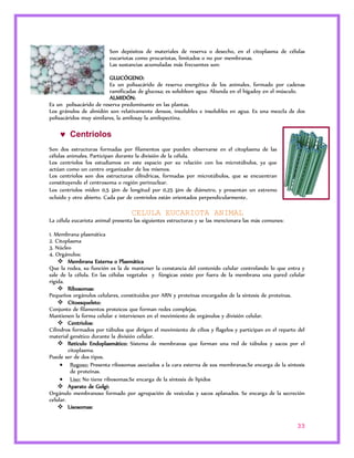 Son depósitos de materiales de reserva o desecho, en el citoplasma de células 
eucariotas como procariotas, limitados o no por membranas. 
Las sustancias acumuladas más frecuentes son: 
GLUCÓGENO: 
Es un polisacárido de reserva energética de los animales, formado por cadenas 
ramificadas de glucosa; es solubleen agua. Abunda en el hígadoy en el músculo. 
ALMIDÓN: 
Es un polisacárido de reserva predominante en las plantas. 
Los gránulos de almidón son relativamente densos, insolubles e insolubles en agua. Es una mezcla de dos 
polisacáridos muy similares, la amilosay la amilopectina. 
33 
 Centriolos 
Son dos estructuras formadas por filamentos que pueden observarse en el citoplasma de las 
células animales. Participan durante la división de la célula. 
Los centriolos los estudiamos en este espacio por su relación con los microtúbulos, ya que 
actúan como un centro organizador de los mismos. 
Los centriolos son dos estructuras cilíndricas, formadas por microtúbulos, que se encuentran 
constituyendo el centrosoma o región perinuclear. 
Los centriolos miden 0,5 μm de longitud por 0,25 μm de diámetro, y presentan un extremo 
ocluido y otro abierto. Cada par de centriolos están orientados perpendicularmente. 
CELULA EUCARIOTA ANIMAL 
La célula eucariota animal presenta las siguientes estructuras y se las mencionara las más comunes: 
1. Membrana plasmática 
2. Citoplasma 
3. Núcleo 
4. Orgánulos: 
 Membrana Externa o Plasmática 
Que la rodea, su función es la de mantener la constancia del contenido celular controlando lo que entra y 
sale de la célula. En las células vegetales y fúngicas existe por fuera de la membrana una pared celular 
rígida. 
 Ribosomas: 
Pequeños orgánulos celulares, constituidos por ARN y proteínas encargados de la síntesis de proteínas. 
 Citoesqueleto: 
Conjunto de filamentos proteicos que forman redes complejas. 
Mantienen la forma celular e intervienen en el movimiento de orgánulos y división celular. 
 Centriolos: 
Cilindros formados por túbulos que dirigen el movimiento de cilios y flagelos y participan en el reparto del 
material genético durante la división celular. 
 Retículo Endoplasmático: Sistema de membranas que forman una red de túbulos y sacos por el 
citoplasma. 
Puede ser de dos tipos. 
 Rugoso: Presenta ribosomas asociados a la cara externa de sus membranas.Se encarga de la síntesis 
de proteínas. 
 Liso: No tiene ribosomas.Se encarga de la síntesis de lípidos 
 Aparato de Golgi: 
Orgánulo membranoso formado por agrupación de vesículas y sacos aplanados. Se encarga de la secreción 
celular. 
 Lisosomas: 
 