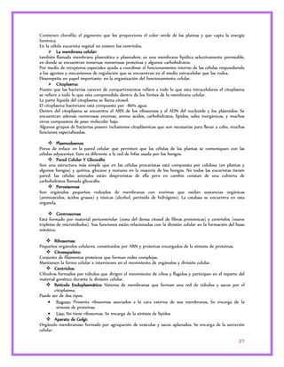 Contienen clorofila, el pigmento que les proporciona el color verde de las plantas y que capta la energía 
lumínica. 
En la célula eucariota vegetal no existen los centriolos. 
37 
 La membrana celular: 
también llamada membrana plasmática o plasmalem, es una membrana lipídica selectivamente permeable, 
en donde se encuentran inmersas numerosas proteínas y algunos carbohidratos. 
Por medio de receptores especiales ayuda a coordinar el funcionamiento interno de las células respondiendo 
a los agentes y mecanismos de regulación que se encuentran en el medio extracelular que las rodea. 
Desempeña un papel importante: en la organización del funcionamiento celular. 
 Citoplasma: 
Puesto que las bacterias carecen de compartimientos refiere a todo lo que esta intracelulares el citoplasma 
se refiere a todo lo que esta comprendido dentro de los límites de la membrana celular. 
La parte líquida del citoplasma se llama citosol. 
El citoplasma bacteriano está compuesto por ~80% agua. 
Dentro del citoplasma se encuentra el ARN de los ribosomas y el ADN del nucleoide y los plásmidos. Se 
encuentran además numerosas enzimas, amino ácidos, carbohidratos, lípidos, sales inorgánicas, y muchos 
otros compuestos de peso molecular bajo. 
Algunos grupos de bacterias poseen inclusiones citoplásmicas que son necesarias para llevar a cabo, muchas 
funciones especializadas. 
 Plasmodesmos 
Poros de enlace en la pared celular que permiten que las células de las plantas se comuniquen con las 
células adyacentes. Esto es diferente a la red de hifas usada por los hongos. 
 Pared Celular Y Glicocálix 
Son una estructura más simple que en las células procariotas está compuesta por celulosa (en plantas y 
algunos hongos) y quitina, glucano y manano en la mayoría de los hongos. No todas las eucariotas tienen 
pared, las células animales están desprovistas de ella pero en cambio constan de una cubierta de 
carbohidratos llamada glicocálix. 
 Peroxisomas 
Son orgánulos pequeños rodeados de membranas con enzimas que oxidan sustancias orgánicas 
(aminoácidos, ácidos grasos) y tóxicas (alcohol, peróxido de hidrógeno). La catalasa se encuentra en esta 
organela. 
 Centrosomas 
Está formado por material pericentriolar (zona del densa citosol de fibras proteínicas) y centriolos (nueve 
tripletes de microtúbulos). Sus funciones están relacionadas con la división celular en la formación del huso 
mitótico. 
 Ribosomas: 
Pequeños orgánulos celulares, constituidos por ARN y proteínas encargados de la síntesis de proteínas. 
 Citoesqueleto: 
Conjunto de filamentos proteicos que forman redes complejas. 
Mantienen la forma celular e intervienen en el movimiento de orgánulos y división celular. 
 Centriolos: 
Cilindros formados por túbulos que dirigen el movimiento de cilios y flagelos y participan en el reparto del 
material genético durante la división celular. 
 Retículo Endoplasmático: Sistema de membranas que forman una red de túbulos y sacos por el 
citoplasma. 
Puede ser de dos tipos. 
 Rugoso: Presenta ribosomas asociados a la cara externa de sus membranas. Se encarga de la 
síntesis de proteínas. 
 Liso: No tiene ribosomas. Se encarga de la síntesis de lípidos 
 Aparato de Golgi: 
Orgánulo membranoso formado por agrupación de vesículas y sacos aplanados. Se encarga de la secreción 
celular. 
 