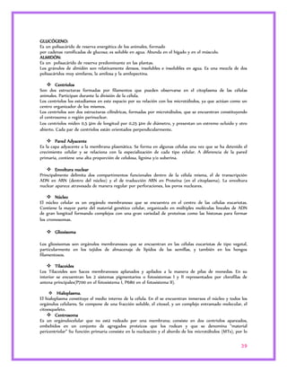 GLUCÓGENO: 
Es un polisacárido de reserva energética de los animales, formado 
por cadenas ramificadas de glucosa; es soluble en agua. Abunda en el hígado y en el músculo. 
ALMIDÓN: 
Es un polisacárido de reserva predominante en las plantas. 
Los gránulos de almidón son relativamente densos, insolubles e insolubles en agua. Es una mezcla de dos 
polisacáridos muy similares, la amilosa y la amilopectina. 
39 
 Centriolos 
Son dos estructuras formadas por filamentos que pueden observarse en el citoplasma de las células 
animales. Participan durante la división de la célula. 
Los centriolos los estudiamos en este espacio por su relación con los microtúbulos, ya que actúan como un 
centro organizador de los mismos. 
Los centriolos son dos estructuras cilíndricas, formadas por microtúbulos, que se encuentran constituyendo 
el centrosoma o región perinuclear. 
Los centriolos miden 0,5 μm de longitud por 0,25 μm de diámetro, y presentan un extremo ocluido y otro 
abierto. Cada par de centriolos están orientados perpendicularmente. 
 Pared Adyacente 
Es la capa adyacente a la membrana plasmática. Se forma en algunas células una vez que se ha detenido el 
crecimiento celular y se relaciona con la especialización de cada tipo celular. A diferencia de la pared 
primaria, contiene una alta proporción de celulosa, lignina y/o suberina. 
 Envoltura nuclear 
Principalmente delimita dos compartimentos funcionales dentro de la célula misma, el de transcripción 
ADN en ARN (dentro del núcleo) y el de traducción ARN en Proteína (en el citoplasma). La envoltura 
nuclear aparece atravesada de manera regular por perforaciones, los poros nucleares. 
 Núcleo 
El núcleo celular es un orgánulo membranoso que se encuentra en el centro de las células eucariotas. 
Contiene la mayor parte del material genético celular, organizado en múltiples moléculas lineales de ADN 
de gran longitud formando complejos con una gran variedad de proteínas como las histonas para formar 
los cromosomas. 
 Glioxisoma 
Los glioxisomas son orgánulos membranosos que se encuentran en las células eucariotas de tipo vegetal, 
particularmente en los tejidos de almacenaje de lípidos de las semillas, y también en los hongos 
filamentosos. 
 Tilacoides 
Los Tilacoides son Sacos membranosos aplanados y apilados a la manera de pilas de monedas. En su 
interior se encuentran los 2 sistemas pigmentarios o fotosistemas I y II representados por clorofilas de 
antena principales(P700 en el fotosistema I, P680 en el fotosistema II). 
 Hialoplasma. 
El hialoplasma constituye el medio interno de la célula. En él se encuentran inmersos el núcleo y todos los 
orgánulos celulares. Se compone de una fracción soluble, el citosol, y un complejo entramado molecular, el 
citoesqueleto. 
 Centrosoma 
Es un orgánulocelular que no está rodeado por una membrana; consiste en dos centriolos apareados, 
embebidos en un conjunto de agregados proteicos que los rodean y que se denomina “material 
pericentriolar” Su función primaria consiste en la nucleación y el abordo de los microtúbulos (MTs), por lo 
 