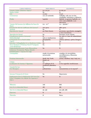 42 
CARACTERÍSTICA PROCARIOTA EUCARIOTA 
Tamaño Celular (Diámetro Típico)15 0,2–2,0 μm 10–100 μm 
Núcleo Celular No Sí 
Adn circular Lineal 
Cromosomas uno (el nucleoide) múltiples, cada uno con dos 
cromátidas, centrómero y telómeros 
Ploidía haploide diploide, en gametos haploide y en 
otros casos poliploide o con 
alternancia 
Tamaño Del Genoma (En Millones De Pares De 
Bases) 
0,5 – 10 16 2,2 – 150.000 17 
Fracción De Adn No Codificante Del Genoma18 12% aprox. 98% aprox. 
Nucleolo No Sí 
Reproducción Asexual por fisión binaria pormitosis, esporulación, propágulo 
y otros mecanismos. 
Reproducción Sexual No frecuente, es por meiosis 
Transferencia Genética Horizontal Sí No, salvo en casos de endosimbiosis 
Multicelularidad solo en mixobacterias común 
Composición De La Pared Celular glicopéptidos celulosa (plantas), quitina (hongos) 
Capa S Sí No 
Esteroles Y Esfingolípidos En La Membrana Celular No Sí 
Poros Nucleares Y Proteínas Para El Transporte 
No Sí 
Trans-Membranal 
OrgánulosMembranosos Como Mitocondrias, 
Lisosomas, Peroxisomas, Plastos, Retículo 
Endoplasmático Y Aparato De Golgi 
No Sí 
Citoesqueleto simple, de proteínas 
estructurales 
complejo, de microtúbulos, 
microfilamentos y filamentos 
intermedios 
Proteínas Estructurales MreB, FtsZ, ParM, 
MamK, etc. 
actinas, tubulinas, Arp2, Arp3, etc. 
Ciclosis No Sí 
Localización De Enzimas Y Pigmentos en repliegues de la 
membrana plasmática 
en los orgánulos membranosos 
Vesícula De Gas Sí No 
Arn Mensajero policistrónico monocistrónico en la mayoría19 
Intrones Y Exones En El Arnm No Mayormente 
Espliceosoma Para La Maduración Del Arnm Por 
No Sí 
Corte Y Empalme Con Adición De Caperuza Y 
Poli-A 
Ribosoma 70S 80S 
Arnr En La Subunidad Menor 16S 18S 
Arnr En La Subunidad Mayor 5S, 23S 5S, 5.8S, 28S 
Operones Sí No 
Plásmidos Sí Raros 
 