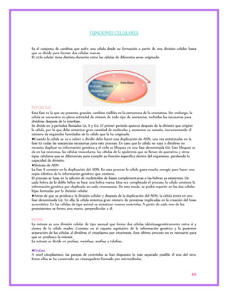 46 
FUNCIONES CELULARES 
Es el conjunto de cambios que sufre una célula desde su formación a partir de una división celular hasta 
que se divide para formar dos células nuevas. 
El ciclo celular tiene distinta duración entre las células de diferentes seres originado. 
INTERFASE 
Esta fase es la que no presenta grandes cambios visibles en la estructura de la cromatina. Sin embargo, la 
célula se encuentra en plena actividad de síntesis de todo tipo de sustancias, incluidas las necesarias para 
dividirse después de la interfase. 
Se divide en 3 periodos llamados G1, S y G2. El primer periodo aparece después de la división que originó 
la célula, por lo que debe sintetizar gran cantidad de moléculas y aumentar su tamaño, incrementando el 
número de orgánulos heredados de la célula que la ha originado. 
●Cuando la célula se va a volver a dividir debe hacer una duplicación de ADN, una vez sintetizadas en la 
fase G1 todas las sustancias necesarias para este proceso. En caso que la célula no vaya a dividirse no 
necesita duplicar su información genética y el ciclo se bloquea en una fase denominada G0. Este bloqueo se 
da en las neuronas, las células musculares, las células de la epidermis que se llenan de queratina y otros 
tipos celulares que se diferencian para cumplir su función específica dentro del organismo, perdiendo la 
capacidad de división. 
●Síntesis de ADN 
La fase S consiste en la duplicación del ADN. En este proceso la célula gasta mucha energía para hacer una 
copia idéntica de la información genética que contiene. 
El proceso se basa en la adición de nucleótidos de bases complementarias a las hebras ya existentes. De 
cada hebra de la doble hélice se hace una hebra nueva. Una vez completado el proceso, la célula contiene la 
información genética por duplicado en cada cromosoma. De este modo, se podrá repartir en las dos células 
hijas formadas por la división celular. 
●Antes de que se produzca la división celular y después de la duplicación del ADN, la célula entra en una 
fase denominada G2. En ella, la célula sintetiza gran número de proteínas implicadas en la creación del huso 
acromático. En las células de tipo animal se sintetizan nuevos centriolos. A partir de cada uno de los 
preexistentes se forma uno nuevo, perpendicular a él. 
MITOSIS 
La mitosis es una división celular de tipo asexual que forma dos células idénticasgenéticamente entre sí y 
clones de la célula madre. Consiste en el reparto equitativo de la información genética y la posterior 
separación de las células al dividirse el citoplasma por citocinesis. Este último proceso no es necesario para 
que se produzca la mitosis. 
La mitosis se divide en profase, metafase, anafase y telofase. 
●Profase 
A nivel citoplásmico, las parejas de centriolos se han dispuesto lo más separado posible el uno del otro. 
Entre ellos se ha construido un citoesqueleto formado por microtúbulos. 
 