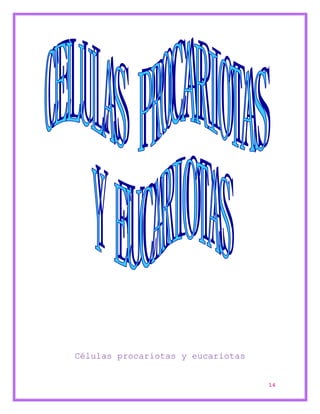 14 
Células procariotas y eucariotas 
 
