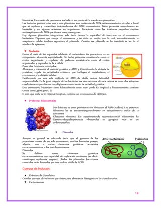 histónicas. Esta molécula permanece anclada en un punto de la membrana plasmática. 
Las bacterias pueden tener uno o más plásmidos, son moléculas de ADN extracromosómico circular o lineal 
que se replican y transcriben independientes del ADN cromosómico. Están presentes normalmente en 
bacterias, y en algunas ocasiones en organismos Eucariotas como las levaduras pequeños círculos 
autorreplicantes de ADN que tienen unos pocos genes. 
Hay algunos plásmidos integrativos, vale decir tienen la capacidad de insertarse en el cromosoma 
bacteriano. Digamos que rompe el cromosoma y se sitúa en medio, con lo cual, automáticamente la 
maquinaria celular también reproduce el plásmido. Cuando ese plásmido se ha insertado se les da el 
nombre de episomas. 
 Nucleoide 
Como el resto de los organelos celulares, el nucleoideen los procariotes, es un 
componente altamente especializado. De hecho podemos considerarlo como el 
centro organizador y regulador de podemos considerarlo como el centro 
organizador y regulador de la a célula. 
Posee dos funciones principales: 
Almacena y transmite el material genético o ADN, y Coordinando la síntesis de 
proteínas, regula las actividades celulares, que incluyen el metabolismo, el 
crecimiento y la división celular. 
Estáformado por una sola molécula de ADN de doble cadena helicoidal, 
superenrollada. En la gran mayoría de las bacterias los dos extremos de esta cadena se unen dos extremos 
covalentementepara formar topológicamenteun círculo de actividad genética. 
Este cromosoma bacteriano tiene habitualmente unas 1000 μmde La longitud y frecuentemente contiene 
tantos como 3500 genes. La 
E. coli, que mide de 2- 3 μmde longitud, contiene un cromosoma de 1400 μm. 
18 
 Proteínas Ribosomales 
Son básicasy se unen porinteracción iónicacon el ARNr(acídico). Las proteínas 
Ribosoma les se encuentrangeneralmente en estequiometria molar de 1:1 
tantoentre 
Ellascomo ribosoma. En experimentosde reconstitucióndel ribosomase ha 
Demostradoquelasproteínas ribosomales se agreganal rnar en un 
ordenespecífico. 
 Plásmidos 
Aunque en general es adecuado decir que el genoma de los 
procariotes consta de un solo cromosoma, muchas bacterias poseen, 
además, uno o varios elementos genéticos accesorios 
extracromosómicos, a los que denominamos 
Plásmidos. 
Se definen como elementos genéticos 
extracromosómicos con capacidad de replicación autónoma (es decir, 
constituyen replicones propios). „Todos los plásmidos bacterianos 
conocidos están formados por una cadena doble de ADN. 
Cuerpos de Inclusion: 
 Gránulos de Cianoficina. 
Grandes cuerpos de inclusión que sirven para almacenar Nitrógeno en las cianobacterias. 
 Carboxisomas. 
 