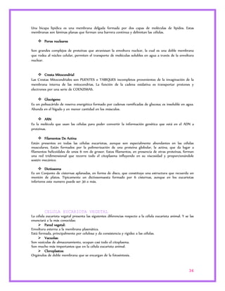 Una bicapa lipídica es una membrana delgada formada por dos capas de moléculas de lípidos. Estas 
membranas son láminas planas que forman una barrera continua y delimitan las células. 
36 
 Poros nucleares 
Son grandes complejos de proteínas que atraviesan la envoltura nuclear, la cual es una doble membrana 
que rodea al núcleo celular, permiten el transporte de moléculas solubles en agua a través de la envoltura 
nuclear. 
 Cresta Mitocondrial 
Las Crestas Mitocondriales son PUENTES o TABIQUES incompletos provenientes de la invaginación de la 
membrana interna de las mitocondrias, La función de la cadena oxidativa es transportar protones y 
electrones por una serie de COENZIMAS. 
 Glucógeno 
Es un polisacárido de reserva energética formado por cadenas ramificadas de glucosa; es insoluble en agua. 
Abunda en el hígado y en menor cantidad en los músculos. 
 ARN 
Es la molécula que usan las células para poder convertir la información genética que está en el ADN a 
proteínas. 
 Filamentos De Actina 
Están presentes en todas las células eucariotas, aunque son especialmente abundantes en las células 
musculares. Están formados por la polimerización de una proteína globular, la actina, que da lugar a 
filamentos helicoidales de unos 6 nm de grosor. Estos filamentos, en presencia de otras proteínas, forman 
una red tridimensional que recorre todo el citoplasma influyendo en su viscosidad y proporcionándole 
sostén mecánico. 
 Dictiosoma 
Es un Conjunto de cisternas aplanadas, en forma de disco, que constituye una estructura que recuerda un 
montón de platos. Típicamente un dictiosomaesta formado por 6 cisternas, aunque en los eucariotas 
inferiores este numero puede ser 30 o más. 
CELULA EUCARIOTA VEGETAL 
La célula eucariota vegetal presenta las siguientes diferencias respecto a la célula eucariota animal. Y se las 
enunciará a la más conocidas: 
 Pared vegetal: 
Envoltura externa a la membrana plasmática. 
Está formada, principalmente por celulosa y da consistencia y rigidez a las células. 
 Vacuolas: 
Son vesículas de almacenamiento, ocupan casi todo el citoplasma. 
Son mucho más importantes que en la célula eucariota animal. 
 Cloroplastos: 
Orgánulos de doble membrana que se encargan de la fotosíntesis. 
 