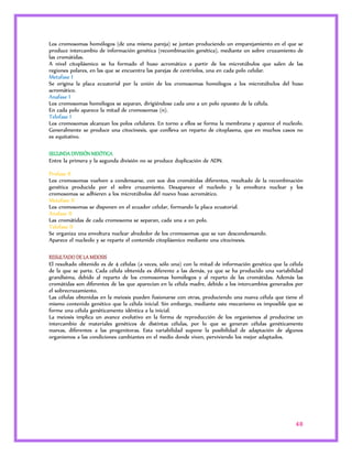 Los cromosomas homólogos (de una misma pareja) se juntan produciendo un emparejamiento en el que se 
produce intercambio de información genética (recombinación genética), mediante un sobre cruzamiento de 
las cromátidas. 
A nivel citoplásmico se ha formado el huso acromático a partir de los microtúbulos que salen de las 
regiones polares, en las que se encuentra las parejas de centriolos, una en cada polo celular. 
Metafase I 
Se origina la placa ecuatorial por la unión de los cromosomas homólogos a los microtúbulos del huso 
acromático. 
Anafase I 
Los cromosomas homólogos se separan, dirigiéndose cada uno a un polo opuesto de la célula. 
En cada polo aparece la mitad de cromosomas (n). 
Telofase I 
Los cromosomas alcanzan los polos celulares. En torno a ellos se forma la membrana y aparece el nucleolo. 
Generalmente se produce una citocinesis, que conlleva un reparto de citoplasma, que en muchos casos no 
es equitativo. 
48 
SEGUNDA DIVISIÓN MEIÓTICA 
Entre la primera y la segunda división no se produce duplicación de ADN. 
Profase II 
Los cromosomas vuelven a condensarse, con sus dos cromátidas diferentes, resultado de la recombinación 
genética producida por el sobre cruzamiento. Desaparece el nucleolo y la envoltura nuclear y los 
cromosomas se adhieren a los microtúbulos del nuevo huso acromático. 
Metafase II 
Los cromosomas se disponen en el ecuador celular, formando la placa ecuatorial. 
Anafase II 
Las cromátidas de cada cromosoma se separan, cada una a un polo. 
Telofase II 
Se organiza una envoltura nuclear alrededor de los cromosomas que se van descondensando. 
Aparece el nucleolo y se reparte el contenido citoplásmico mediante una citocinesis. 
RESULTADO DE LA MEIOSIS 
El resultado obtenido es de 4 células (a veces, sólo una) con la mitad de información genética que la célula 
de la que se parte. Cada célula obtenida es diferente a las demás, ya que se ha producido una variabilidad 
grandísima, debido al reparto de los cromosomas homólogos y al reparto de las cromátidas. Además las 
cromátidas son diferentes de las que aparecían en la célula madre, debido a los intercambios generados por 
el sobrecruzamiento. 
Las células obtenidas en la meiosis pueden fusionarse con otras, produciendo una nueva célula que tiene el 
mismo contenido genético que la célula inicial. Sin embargo, mediante este mecanismo es imposible que se 
forme una célula genéticamente idéntica a la inicial. 
La meiosis implica un avance evolutivo en la forma de reproducción de los organismos al producirse un 
intercambio de materiales genéticos de distintas células, por lo que se generan células genéticamente 
nuevas, diferentes a las progenitoras. Esta variabilidad supone la posibilidad de adaptación de algunos 
organismos a las condiciones cambiantes en el medio donde viven, perviviendo los mejor adaptados. 
 