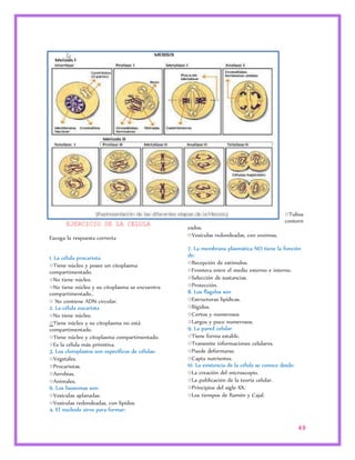 49 
EJERCICIO DE LA CELULA 
Escoga la respuesta correcta 
1. La célula procariota 
○Tiene núcleo y posee un citoplasma 
compartimentado. 
○No tiene núcleo. 
○No tiene núcleo y su citoplasma se encuentra 
compartimentado.. 
○ No contiene ADN circular. 
2. La célula eucariota 
○No tiene núcleo. 
○Tiene núcleo y su citoplasma no está 
compartimentado. 
○Tiene núcleo y citoplasma compartimentado. 
○Es la célula más primitiva. 
3. Los cloroplastos son específicos de células: 
○Vegetales. 
○Procariotas. 
○Aerobias. 
○Animales. 
6. Los lisosomas son: 
○Vesículas aplanadas. 
○Vesículas redondeadas, con lípidos. 
○Tubos 
contorn 
eados. 
○Vesículas redondeadas, con enzimas. 
7. La membrana plasmática NO tiene la función 
de: 
○Recepción de estímulos. 
○Frontera entre el medio externo e interno. 
○Selección de sustancias. 
○Protección. 
8. Los flagelos son 
○Estructuras lipídicas. 
○Rígidos. 
○Cortos y numerosos 
○Largos y poco numerosos. 
9. La pared celular 
○Tiene forma estable. 
○Transmite informaciones celulares. 
○Puede deformarse. 
○Capta nutrientes. 
10. La existencia de la célula se conoce desde: 
○La creación del microscopio. 
○La publicación de la teoría celular. 
○Principios del siglo XX. 
○Los tiempos de Ramón y Cajal. 
4. El nucleolo sirve para formar: 
 