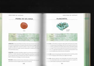 Biblia+de+los+cristales+3.pdf