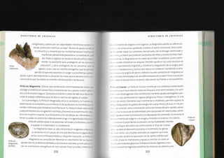 Biblia+de+los+cristales+3.pdf