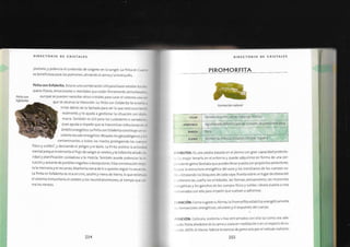 Biblia+de+los+cristales+3.pdf