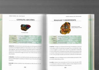 Biblia+de+los+cristales+3.pdf