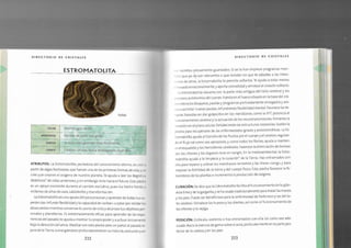 Biblia+de+los+cristales+3.pdf