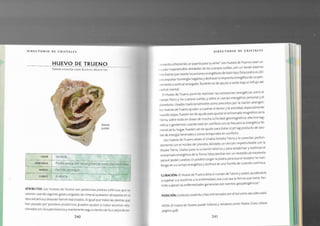 Biblia+de+los+cristales+3.pdf