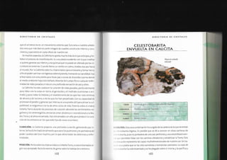 Biblia+de+los+cristales+3.pdf