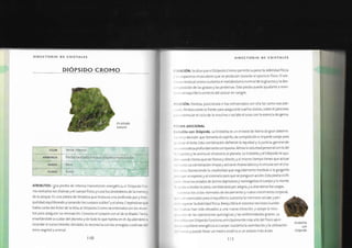 Biblia+de+los+cristales+3.pdf