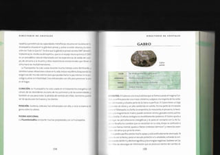 Biblia+de+los+cristales+3.pdf