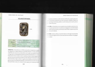 Biblia+de+los+cristales+3.pdf