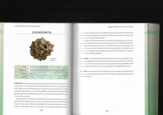 Biblia+de+los+cristales+3.pdf