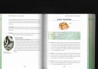 Biblia+de+los+cristales+3.pdf