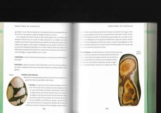 Biblia+de+los+cristales+3.pdf