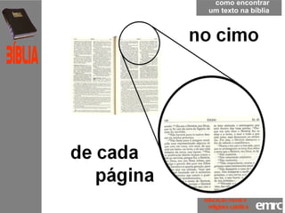 como encontrar um texto na bíblia emrc Católica Bíblia educação moral e  religiosa católica 