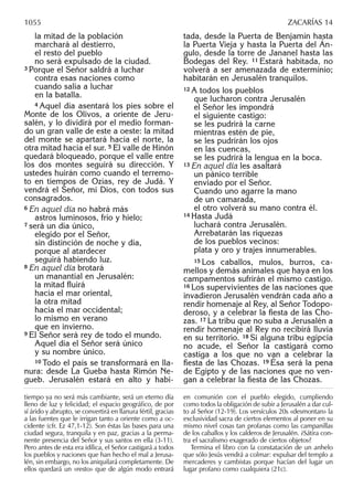 Biblia nuestro pueblo